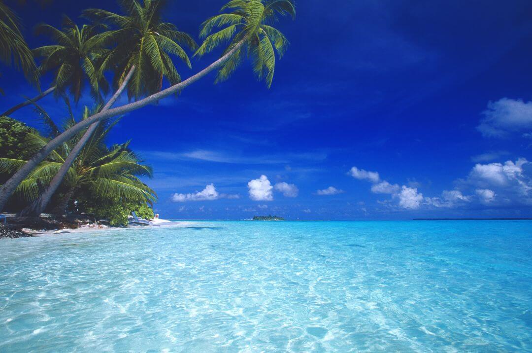 New Year Maldives 3 Star Holiday Travel & Tour Package