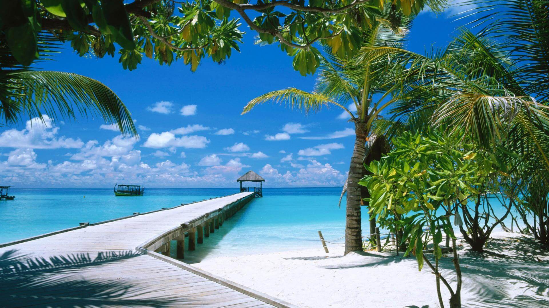 Winter Maldives 3 Star Holiday Travel & Tour Package